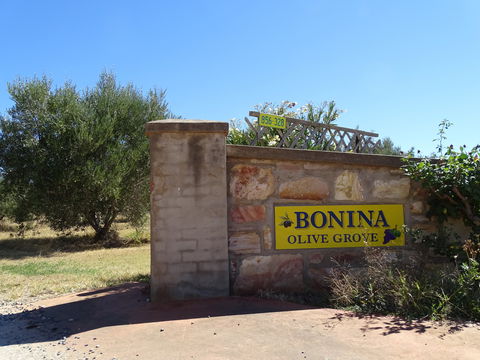 Bonina Olive Grove - Accommodation Search 1