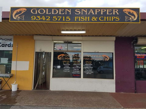 Golden Snapper - Accommodation Search 0