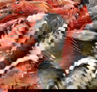 Mi Shells Seafood - Accommodation Search