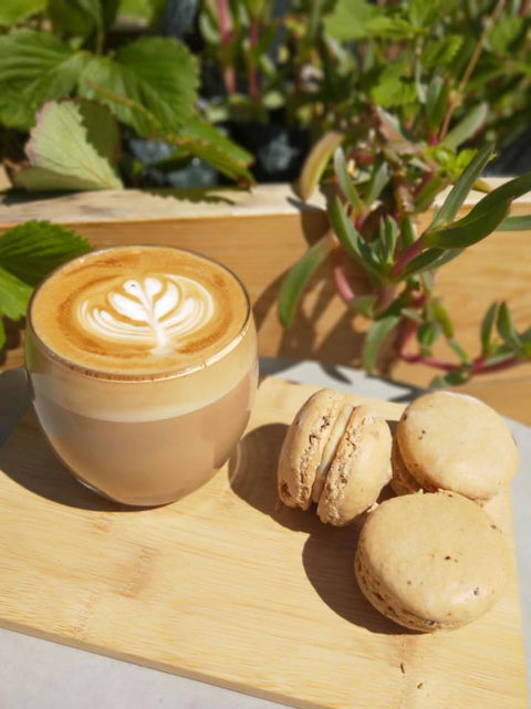 Pandesal Bakery - Accommodation Search 1
