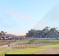 Blacklea Vineyard and Olive Grove - Accommodation Search