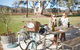 Dal Zotto Wines Cellar Door - thumb 0