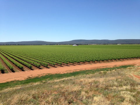 Melange Wines - Accommodation Search 0