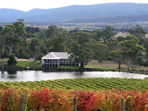 Milton Vineyard - Accommodation Search 0