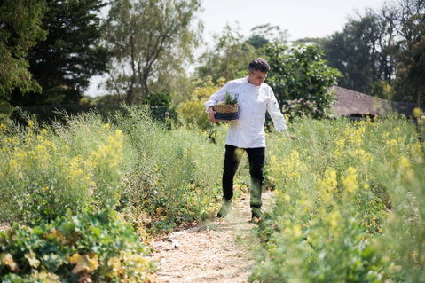 The Wild Flower Bar And Dining - Accommodation Search 2