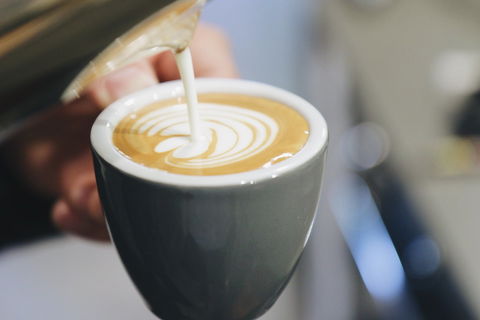 Normcore Coffee Roasters - Ashfield - Accommodation Search 0