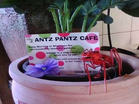 Antz Pantz Cafe - Accommodation Search 0