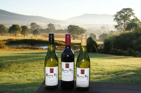 Rusty Fig Wines - Accommodation Search 0