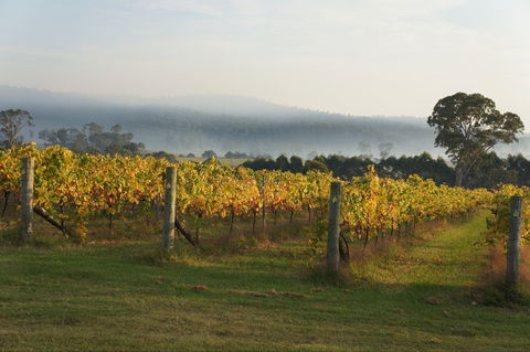 Rusty Fig Wines - Accommodation Search 1
