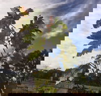 Banca Ridge Cellar Door and Vineyard - Accommodation Search