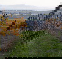 Barwon Ridge Wines - Accommodation Search