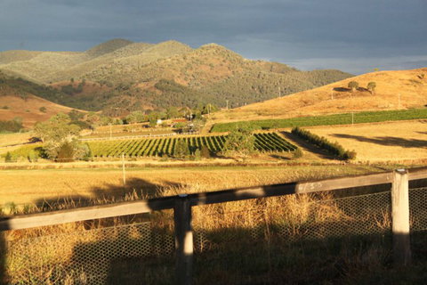 Optimiste Wines - Accommodation Search 0