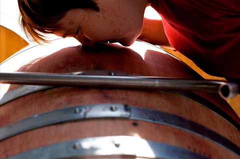 Yarrh Wines - Accommodation Search 2