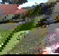 Leaning Church Vineyard - Accommodation Search