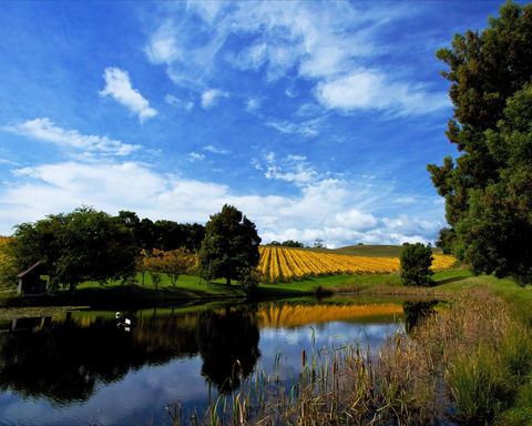 Leaning Church Vineyard - Accommodation Search 1