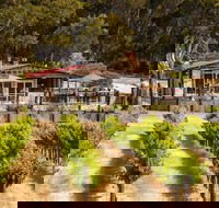False Cape Wines Cellar Door - Accommodation Search