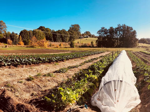 Synchronicity Farm - Accommodation Search 0