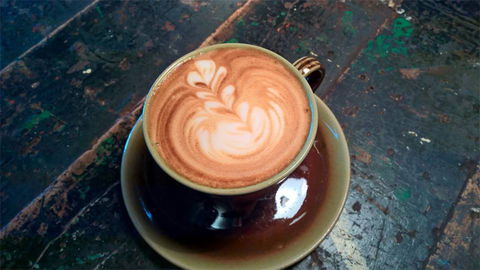 Fox & Rabbit Coffee Co. - Accommodation Search 0