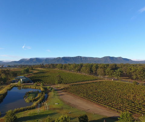 Mistletoe Winery - Accommodation Search 0