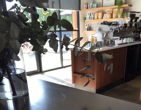 Sixpence Coffee Roasters - Accommodation Search 2