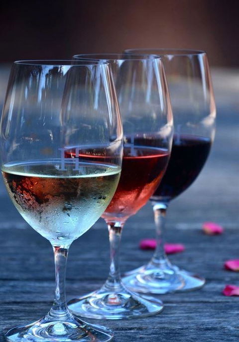 Vines Restaurant At Hollydene Estate - Accommodation Search 8