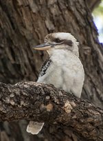 Vybe Cafe - Accommodation Search 4