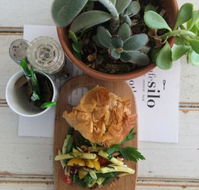 Cafe Silo - Accommodation Search