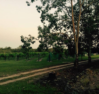 Brierley Wines - Accommodation Search