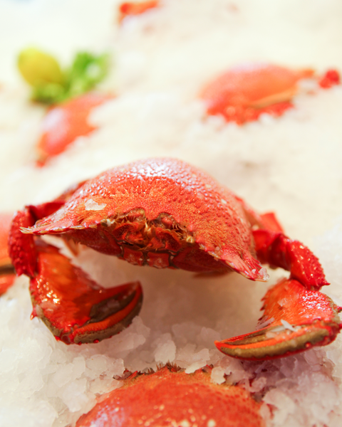 Point Cartwright Seafood Market - Accommodation Search 2