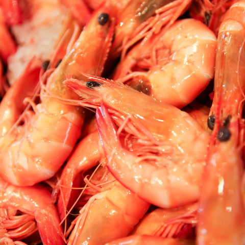 Point Cartwright Seafood Market - Accommodation Search 4