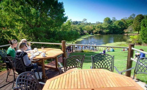 Cedar Creek Estate Vineyard & Winery Restaurant - Accommodation Search 10