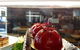 Paesano International Buffet - thumb 23