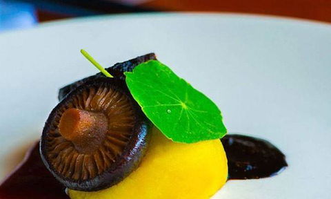 Piccolo Cucina - Accommodation Search 8