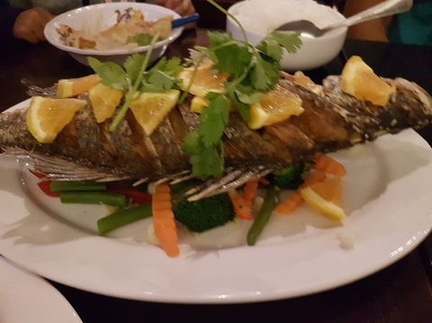 White Jasmine Thai Cuisine - Accommodation Search 0