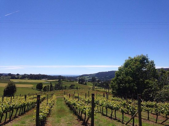 Barrington TAS Accommodation Search