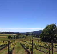 Barringwood Vineyard and Cellar Door Restaurant - Accommodation Search