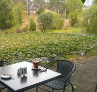 Avocados - Accommodation Search