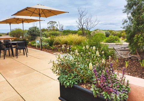 Arid Lands Botanic Garden Cafe - Accommodation Search 0