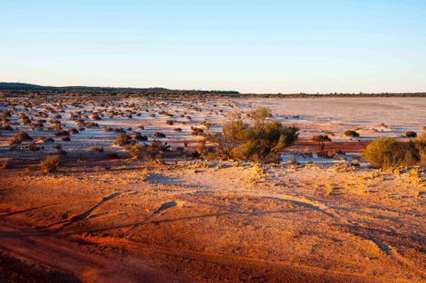 Mozie's Truckstop & Diner - Accommodation Search 0