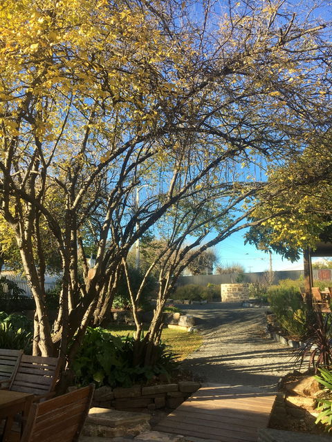 Velvet And Willow Wines - Accommodation Search 5