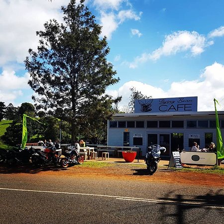 Lower Beechmont QLD Accommodation Search
