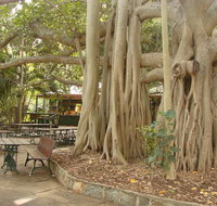 Gardens Tearooms - Accommodation Search