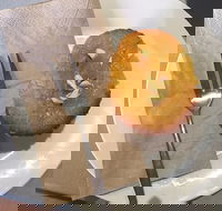 New Leaf Cafe Murwillumbah - Accommodation Search