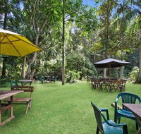 Rainforest - Accommodation Search