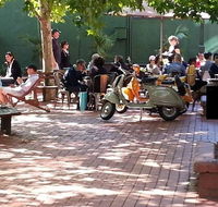Alleycat Cafe - Accommodation Search