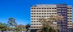 Mantra MacArthur Hotel - Accommodation Search 0