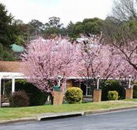 White Lanterns Motel - Accommodation Search