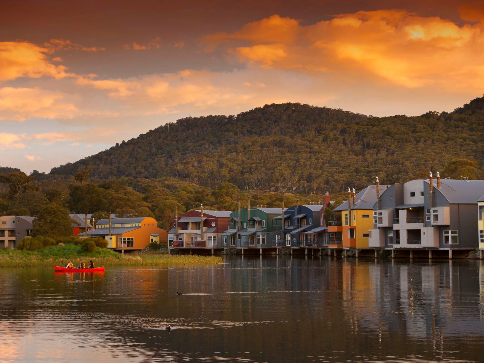 Adelong NSW Accommodation Search