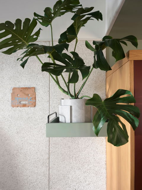 ACE Hotel Sydney - Accommodation Search 0