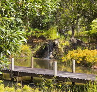 Cedar Park Rainforest Resort - Accommodation Search